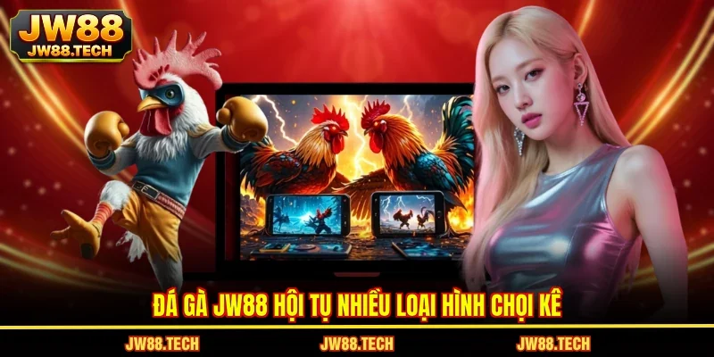 Đá gà JW88 hội tụ nhiều loại hình chọi kê